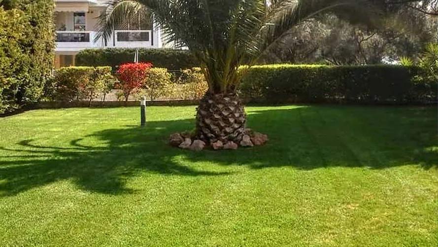 ΣΧΕΔΙΑΣΜΟΣ ΚΗΠΩΝ